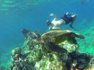 A man shares a tender moment snorkeling with a sea turtle in serene ocean setting.