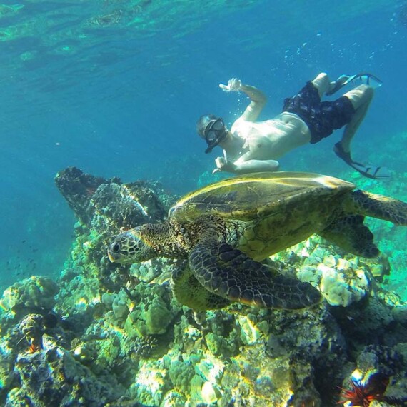 A man shares a tender moment snorkeling with a sea turtle in serene ocean setting.