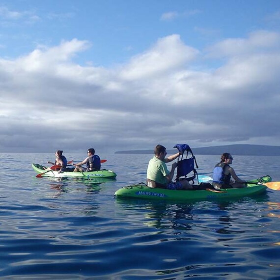 kayaking in Galapagos, showcasing vibrant marine life and breathtaking natural scenery in a tranquil setting.