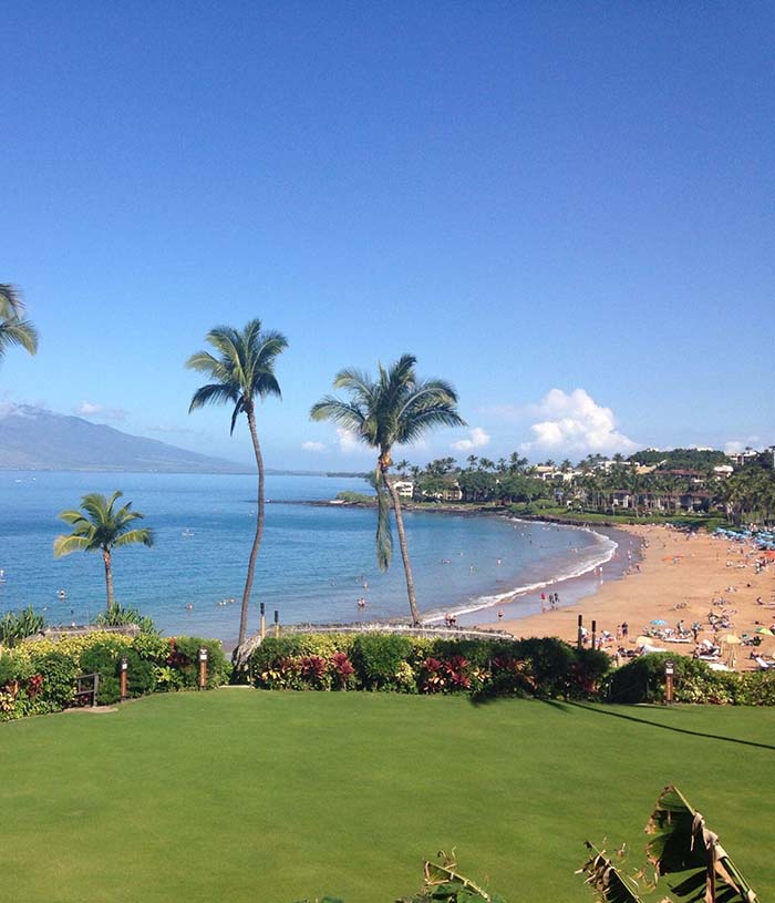 A serene view of beach and ocean, framed by a lush green lawn, showcasing the beauty of nature and tranquility.