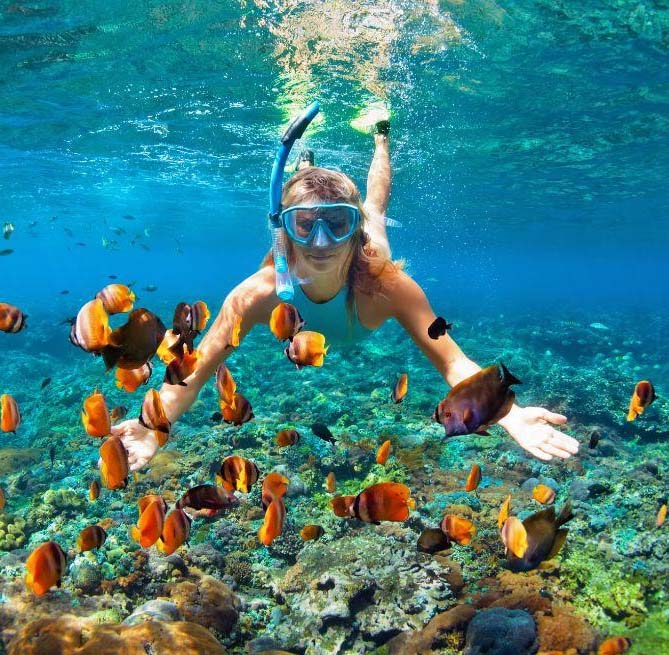 A woman explores the oceans while snorkeling, with a variety of colorful fish swimming nearby in clear water.
