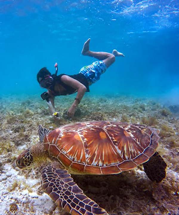 A man explores underwater, snorkeling next to a turtle, capturing the beauty of ocean biodiversity.