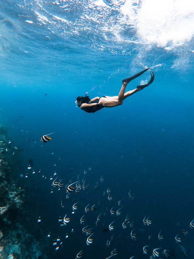 A woman snorkeling in clear ocean waters, surrounded by colorful fish swimming gracefully around her.