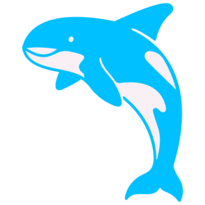 whale-watch-icon