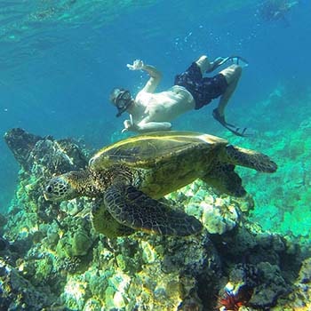 Man are snorkeling in Turtle Reef Discovery tour at makena bay