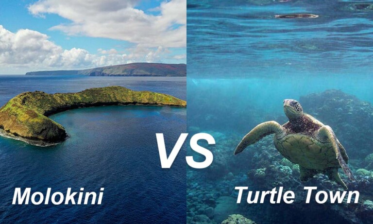 A scenic view comparing Mokolii crater and Turtle Town, showcasing lush landscapes and clear blue waters.