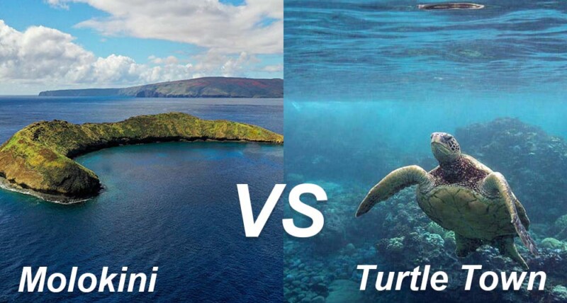 A scenic view comparing Mokolii crater and Turtle Town, showcasing lush landscapes and clear blue waters.