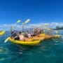 Eco-Friendly Kayaking – How to Explore Maui Without Harming the Reef
