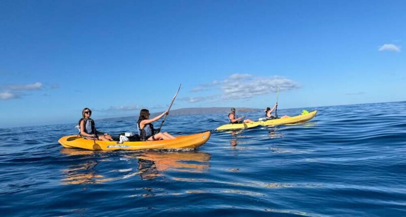 Families kayaking together on calm blue waters in Maui, enjoying one of the Top 5 Family-Friendly Water Tours in Maui under sunny skies.